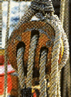 wpce69b3a4.gif
